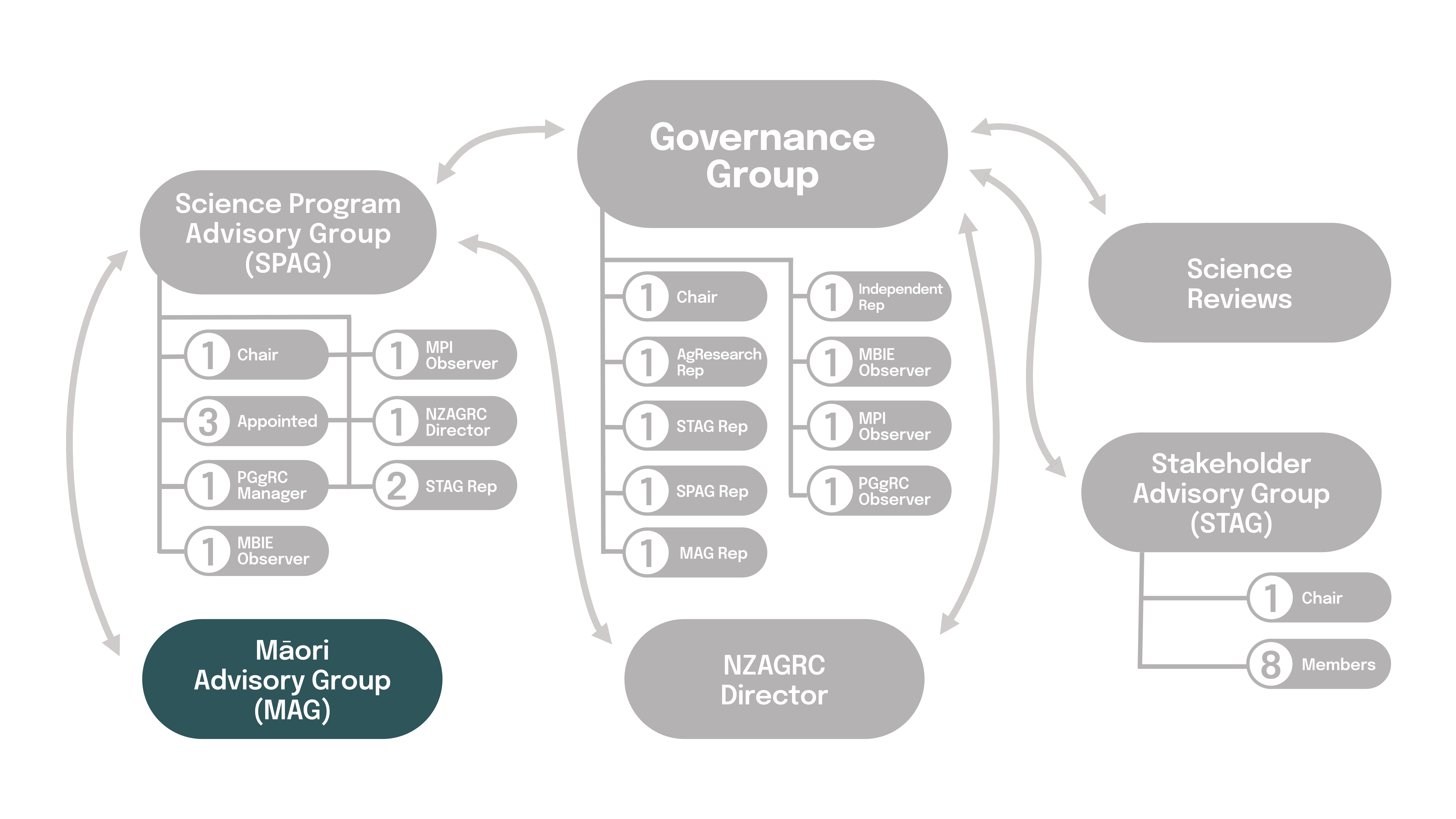 Governance Group MAG