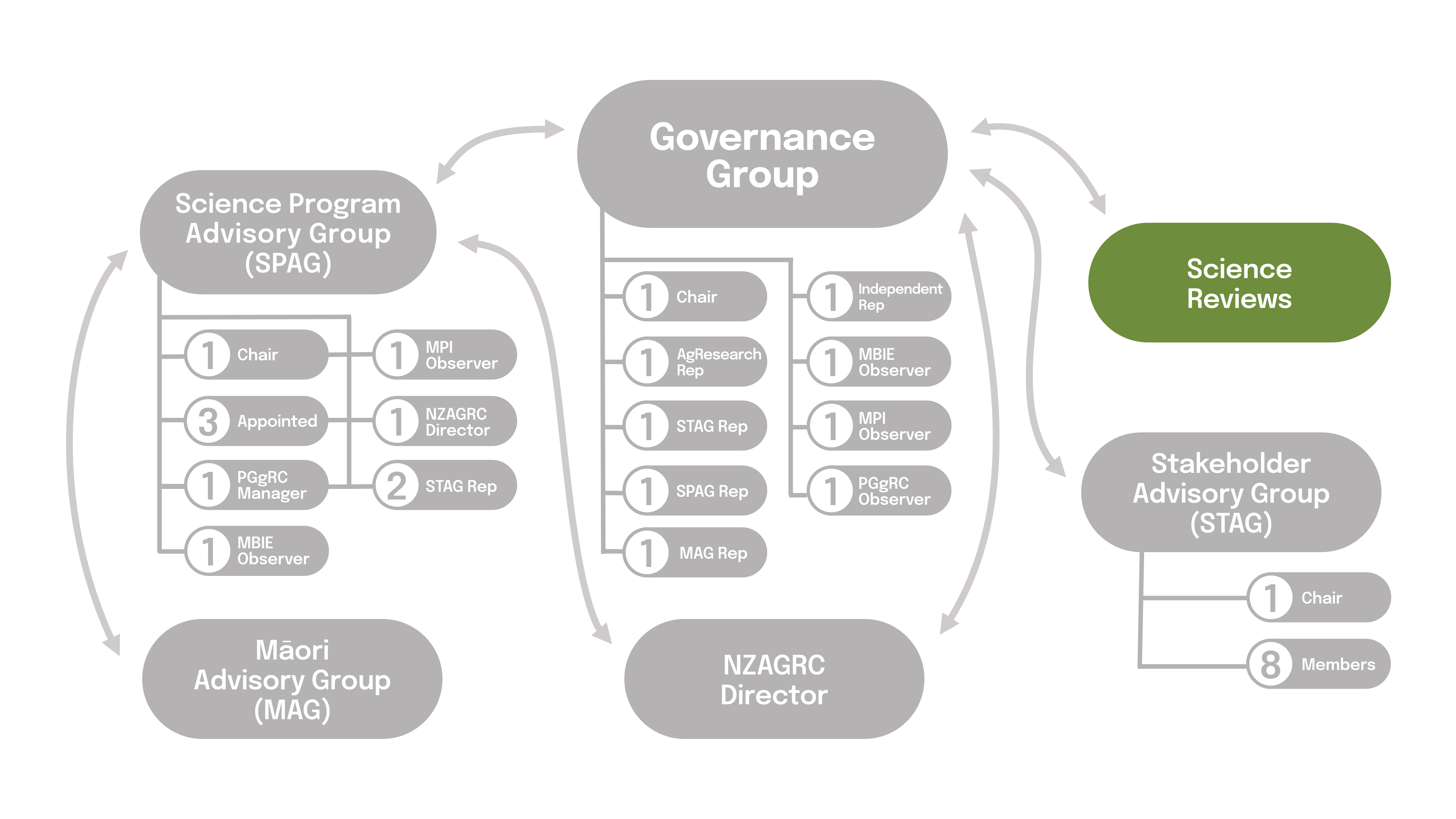 Governance Group SR